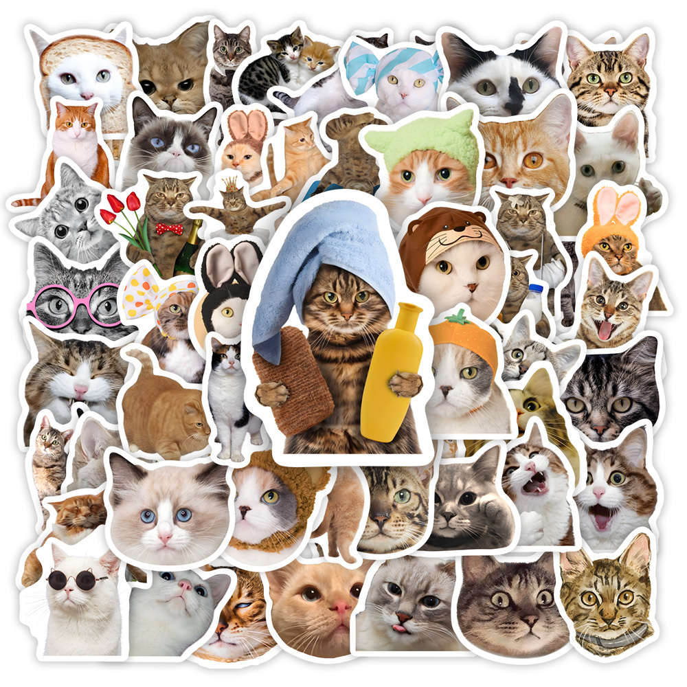 لطيف مضحك القط مقصورة ملصقات D - مراجعة Kids Toys Clipart وسعره